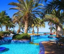 Paradise Coche