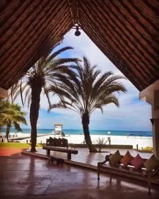 Paradise Coche — foto 5