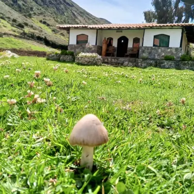 Posada Llano del Trigo — foto 3