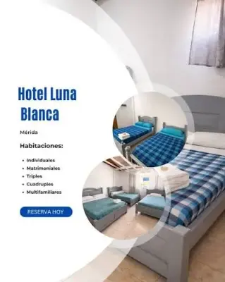 Hotel Luna Blanca — foto 3