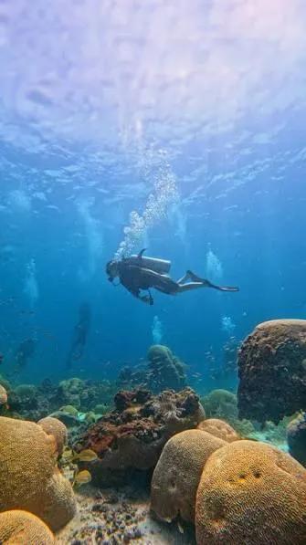 BUCEO LOS FRAILES